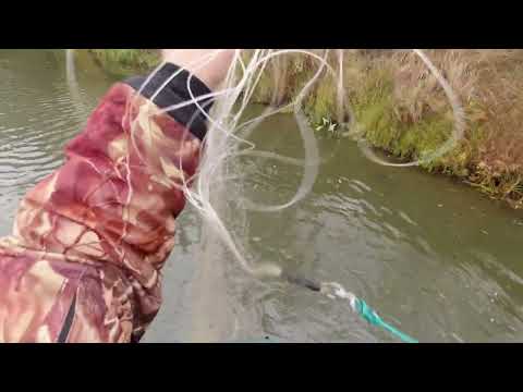 Видео: Рыбалка на Кастинговую сеть. Закрыли сезон 2024.