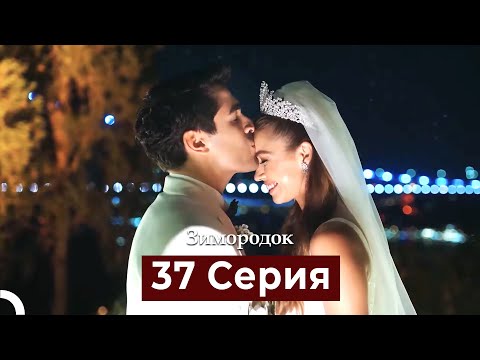 Видео: Зимородок 37 Cерия (Русский дубляж)
