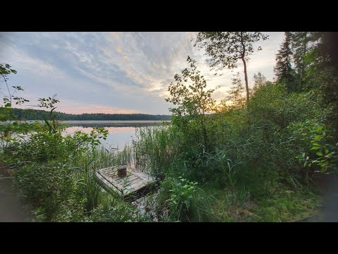 Видео: Виктор Цой - последние километры. Дорога от места рыбалки на озере Васкарис до места аварии