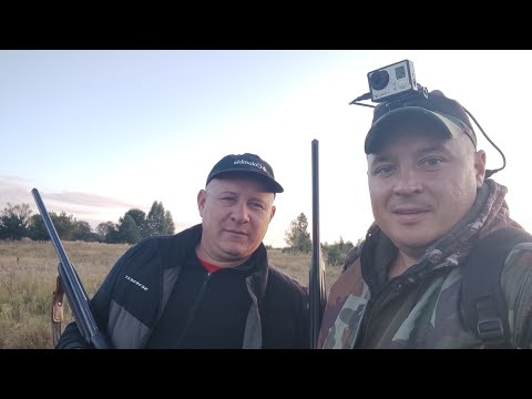 Видео: Охота на утку💪ARMSAN-A612 и МР-155