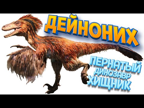 Видео: ДЕЙНОНИХ - ПЕРНАТЫЙ ДИНОЗАВР ХИЩНИК ( Path of Titans )