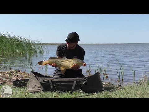 Видео: Дикий карпфишинг. Один на водоёме. Ловля сазана в завоз. Первая часть.