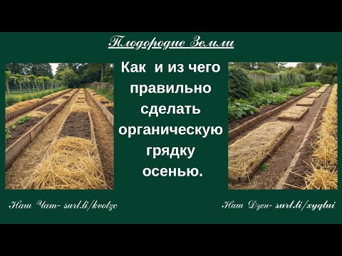 Видео: Осенняя подготовка органических грядок № 78/25