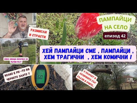 Видео: ХЕЙ ПАМПАЙЦИ СМЕ,ПАМПАЙЦИ,ХЕМ ТРАГИЧНИ,ХЕМ КОМИЧНИ | епизод 42 от поредицата "ПАМПАЙЦИ НА СЕЛО"