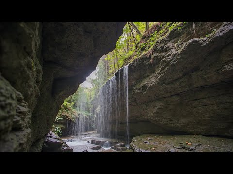 Видео: 🎹 Расслабьтесь под звуки фортепиано, пение птиц и шум воды — идеально для снятия стресса 🌿