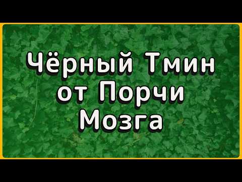 Видео: Вам за 50 и память подводит? 1 ложка утром решит проблему навсегда