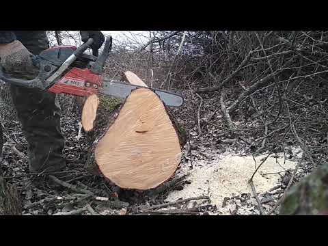 Видео: Бензопила EFCO 560