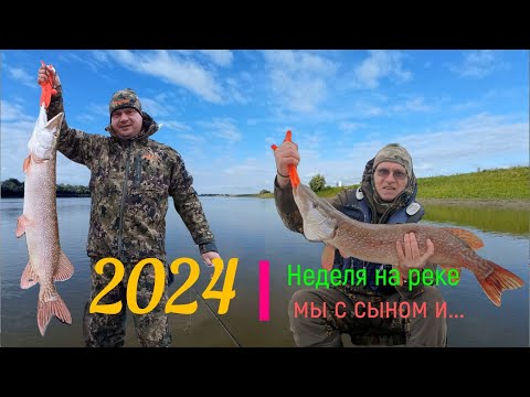 Видео: Неделя на реке. Мы с сыном... и Димон|2024