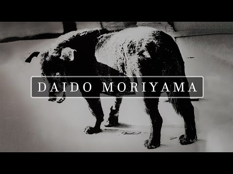 Видео: Как делать моментальные снимки, как Дайдо Морияма