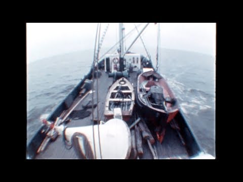 Видео: Убежать из Арктики
