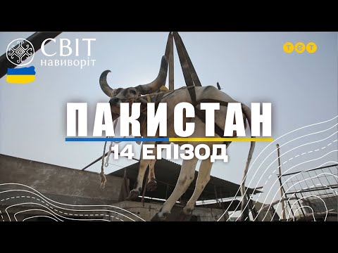 Видео: Дивні розваги в Карачі та як склалося життя людини-лисиці. Пакистан. Світ навиворіт 14 випуск