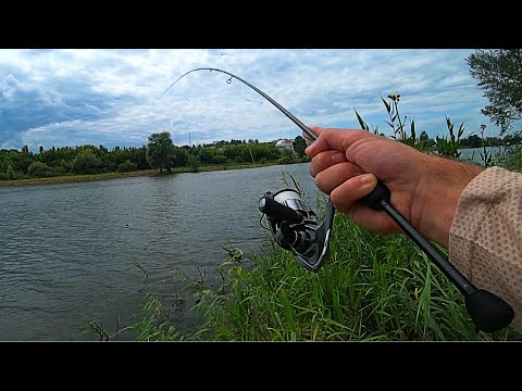 Видео: Неожиданный улов на обычной рыбалке! МИКРОДЖИГ / DUO TWRT-58