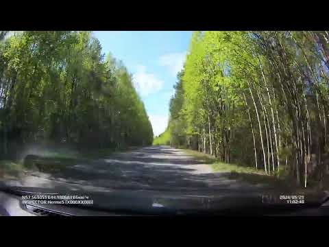 Видео: с. #Горки - п. #Северный. Май 2024 (#Варнавинский_район)