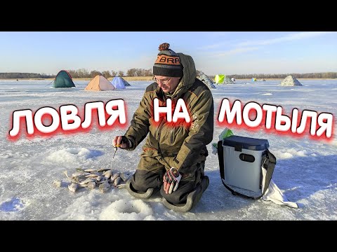 Видео: Дядя Фёдор ловит на мотыля! Зимняя рыбалка на Печенежском водохранилище.