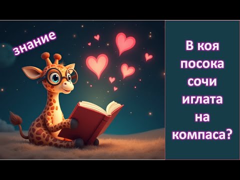 Видео: Предизвикай ума си: Гатанки, география и любопитни факти! #quizжираф  Познай