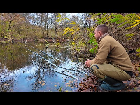 Видео: Осінній ПОПЛАВОК! Трудовий але КАЙФОВИЙ!!!