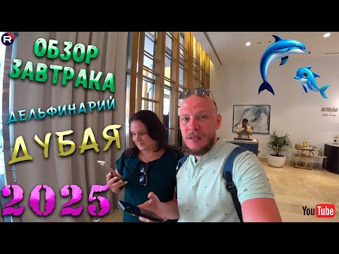 Видео: ДУБАЙ 2025. Дельфинарий Дубая. Обзор завтрака в отеле и вечернего пляжа JBR
