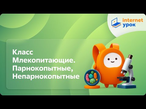 Видео: Биология 7 класс. Класс Млекопитающие. Парнокопытные, Непарнокопытные