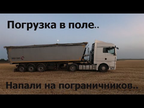 Видео: Погрузка зерновоза в поле. В комбайне тоже хорошо)) Кто-то напал на пограничный патруль, их ищут!