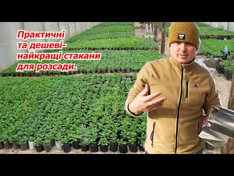 Видео: Чудові стакани для розсади з поліетіленового рукаву.