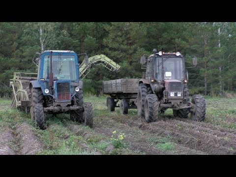 Видео: Продолжаем уборку картофеля картофелекопалками