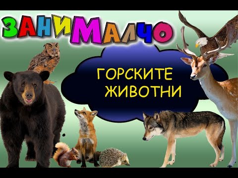 Видео: Да се запознаем с горските животни и какви звуци издават