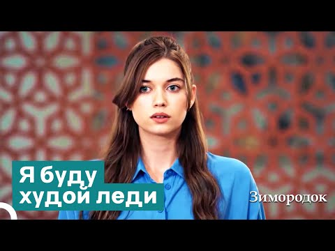 Видео: Волнение первых дней в Ялиде | Зимородок