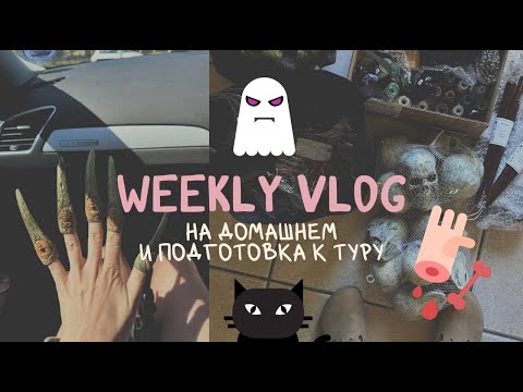 Видео: домашние будни и подготовка к туру | vlog13