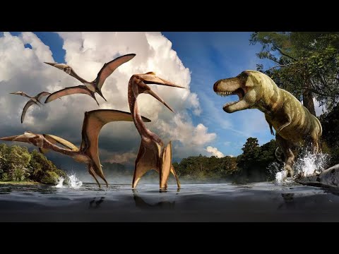 Видео: Кетцалькоатль | Самое большое животное, когда-либо летавшее в Северной Америке