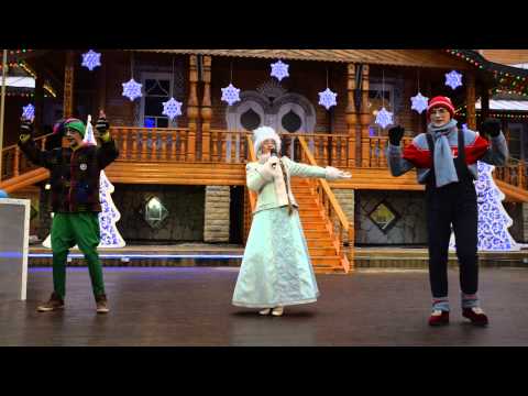 Видео: Снегурочка и её помощники: Академик Главный, Умник