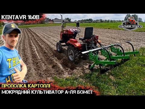 Видео: Перша прополка картоплі культиватором а-ля Бомет. Мототрактор Кентавр 160В в роботі.