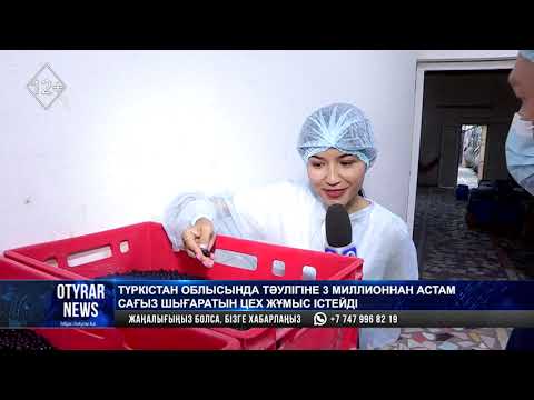 Видео: Түркістан облысында тәулігіне 3 миллионнан астам сағыз шығаратын цех жұмыс істейді