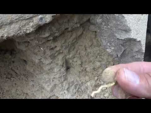 Видео: Ремонт фундамента-плиты.