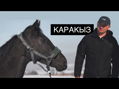 Видео: Караандатпас Каракыздын ийгиликтери