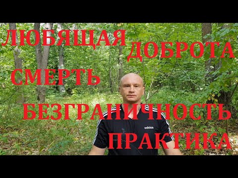 Видео: Любящая доброта, медитация смерть, безграничность. 24.07.20.Павел Ян