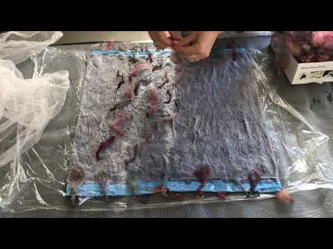 Видео: капмерино. образец. 2 серия