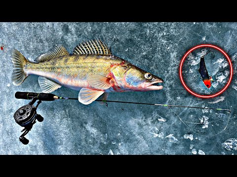 Видео: ЭТОТ ВИБ СДЕЛАЛ МОЮ РЫБАЛКУ/Рыбалка на Судака 2023