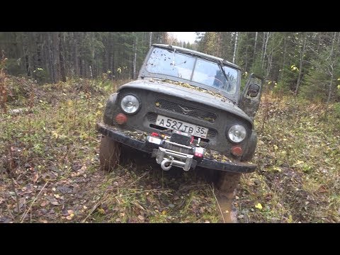 Видео: "Один в тайгу" Я и не мечтал такое найти!