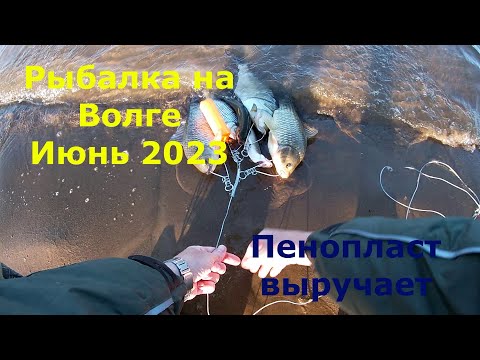 Видео: Опять он меня выручает! Рыбалка на пенопласт! Река Волга! Июнь 2023!