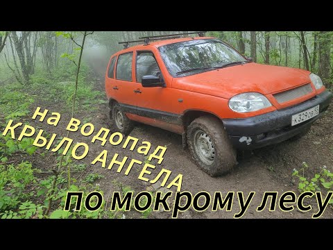 Видео: Выезд на #шевинива  к #водопад  Крыло Ангела