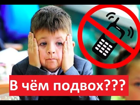 Видео: Запрет телефонов в школе с 1 сентября 2024