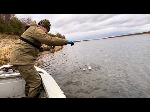 Видео: Рыбалка на Севере. Ловим на сети. Охота на утку.