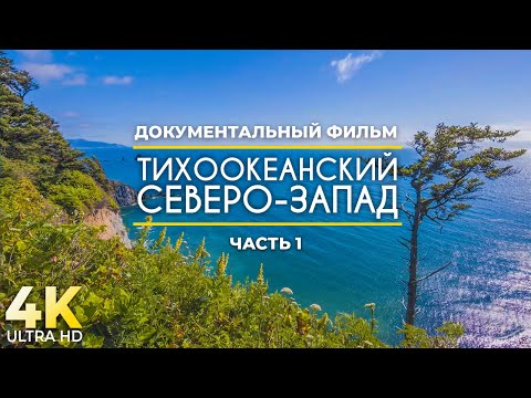 Видео: 4К Тихоокеанский Северо-Запад - Лучшие места побережья Орегона - Документальный фильм - Часть #1