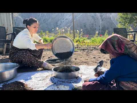 Видео: Приготовление кофе из зеленых фруктов / Измельчение по старинному методу
