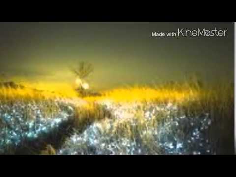 Видео: Шарип Умханов   Нiч яка мiсячна