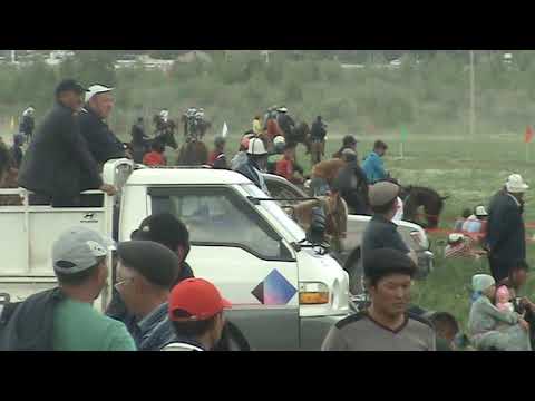 Видео: Жорго салыш,  04 05 2016, Ат башы,