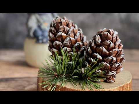 Видео: Плетённая шишка