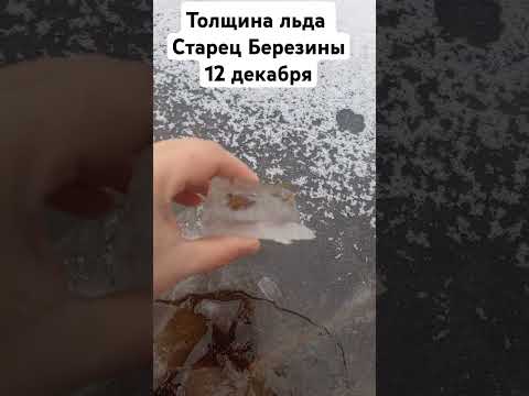 Видео: Толщина льда на стариках Березины. Зимняя рыбалкп #всеизжизни #рыбалка