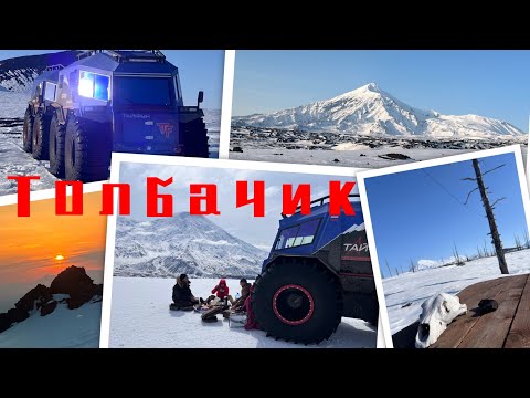 Видео: Толбачик. Курс на Север. На Вездеходе Тайфун