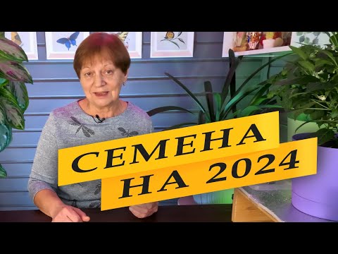 Видео: Семена на 2024. НАЧАЛО.